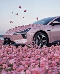 The Role of Car Insurance in the Electric Vehicle Era