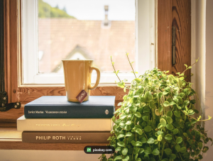 The Sound and the Fury”: Faulkner’s Stream of Consciousness